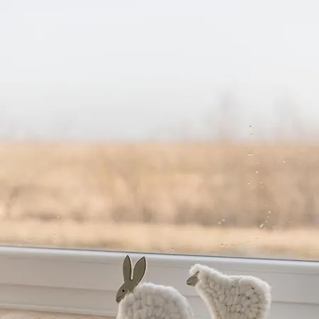 App Meerzeit * 里斯特